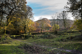 Картинка природа пейзажи простор