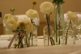 Картинка цветы ранункулюс+ азиатский+лютик азиатский лютик ранункулюс белые бутоны