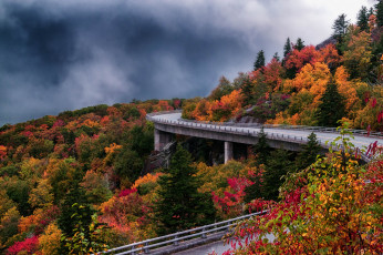 Картинка природа дороги простор