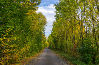 Картинка природа дороги простор