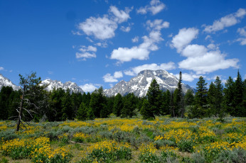 Картинка природа пейзажи простор