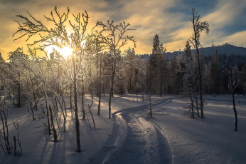 Картинка природа зима простор