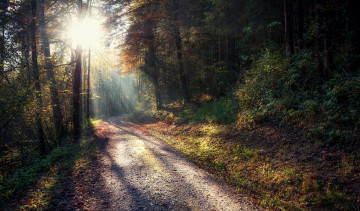 Картинка природа дороги простор