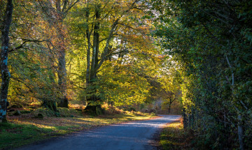 Картинка природа дороги простор