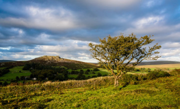 Картинка природа пейзажи простор