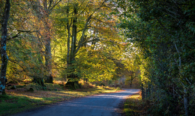 Обои картинки фото природа, дороги, простор