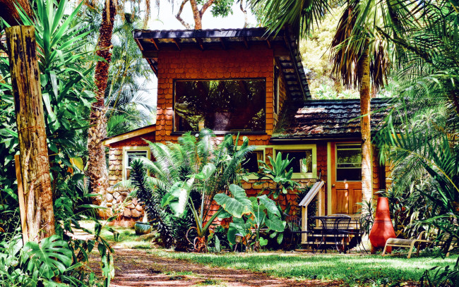 Обои картинки фото города, - здания,  дома, пальмы, бунгало