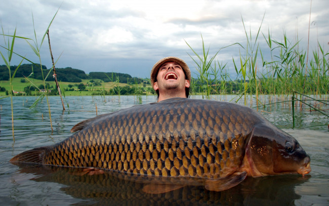 Обои картинки фото разное, рыбалка,  рыбаки,  улов,  снасти, рыбак, улов, добыча