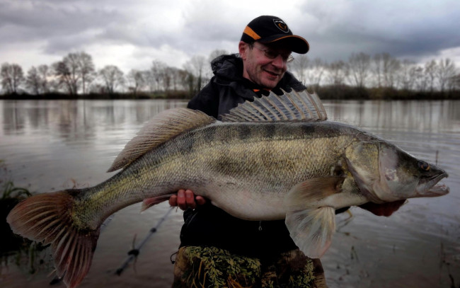 Обои картинки фото разное, рыбалка,  рыбаки,  улов,  снасти, рыбак, улов, добыча