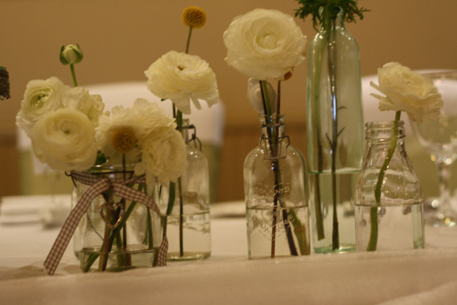 Обои картинки фото цветы, ранункулюс , азиатский лютик, азиатский, лютик, ранункулюс, белые, бутоны