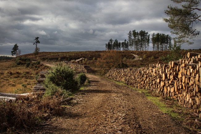 Обои картинки фото природа, дороги, простор