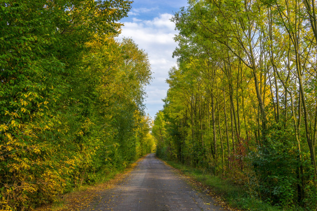 Обои картинки фото природа, дороги, простор