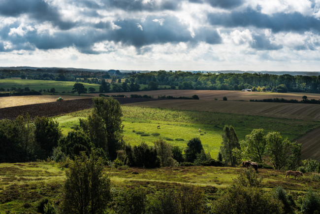 Обои картинки фото природа, пейзажи, простор