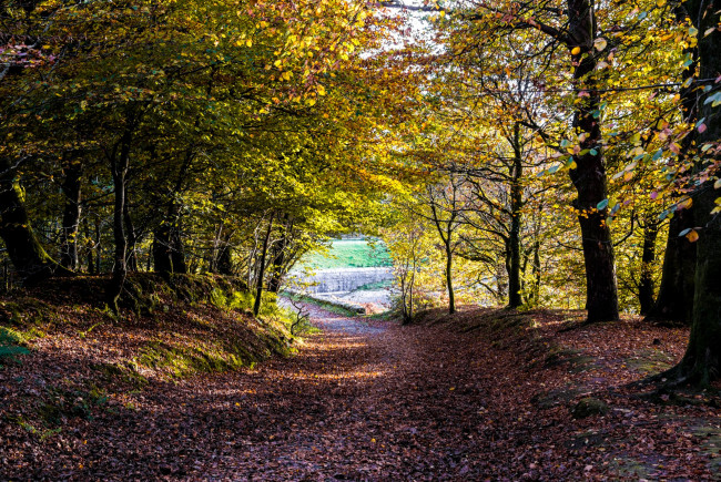 Обои картинки фото природа, дороги, простор