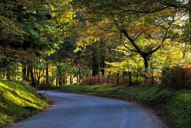 Обои картинки фото природа, дороги, простор