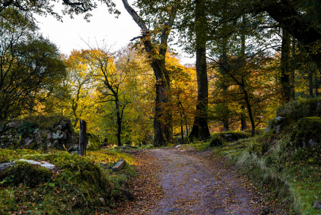 Обои картинки фото природа, дороги, простор