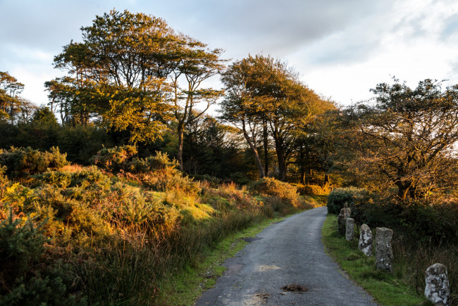 Обои картинки фото природа, дороги, простор