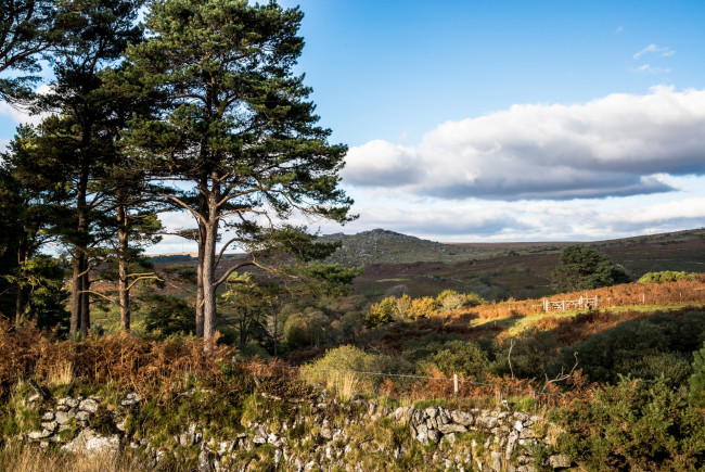 Обои картинки фото природа, пейзажи, простор