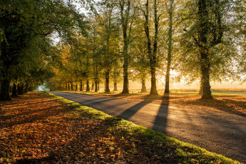 Картинка природа дороги простор