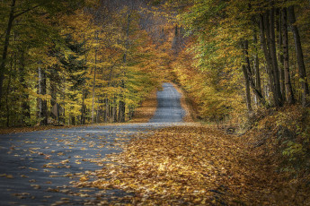 Картинка природа дороги простор