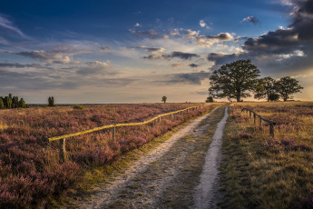 Картинка природа дороги простор