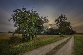 Картинка природа дороги простор