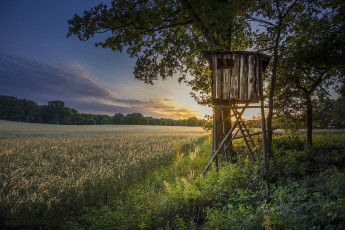 Картинка природа пейзажи простор