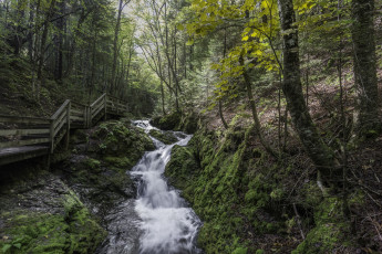 Картинка природа реки озера простор