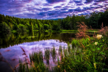 Картинка природа реки озера простор