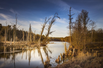 Картинка природа реки озера простор