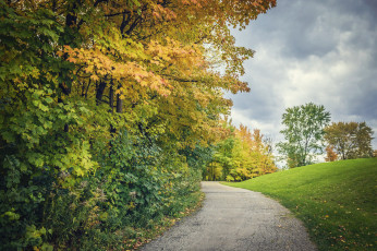 Картинка природа дороги простор