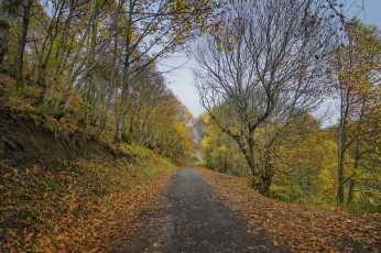 Картинка природа дороги простор