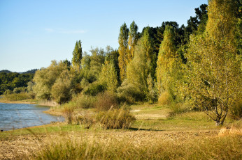 Картинка природа лес простор