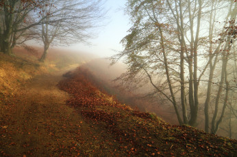 Картинка природа пейзажи простор