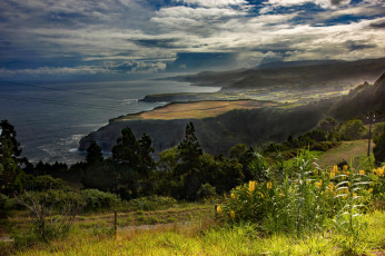 Картинка природа побережье простор