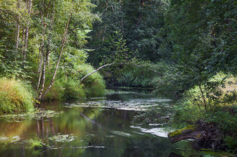 Картинка природа реки озера простор