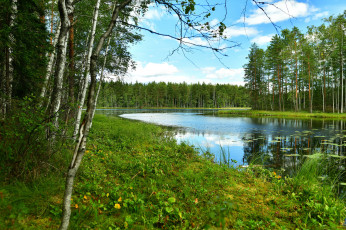 Картинка природа реки озера простор