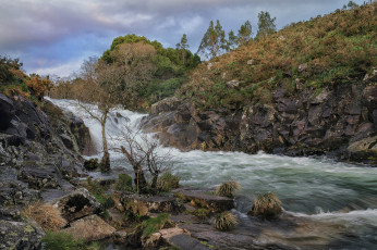 Картинка природа реки озера простор