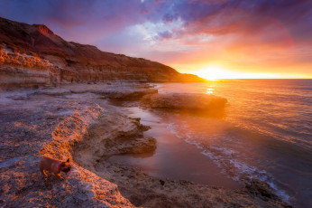 Картинка природа восходы закаты простор