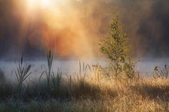 Картинка природа восходы закаты простор