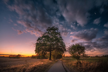 Картинка природа восходы закаты простор