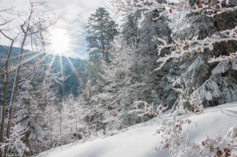 Картинка природа зима простор