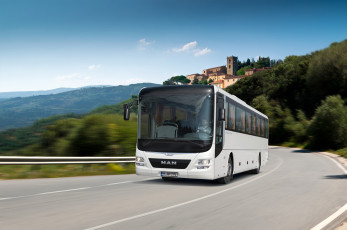 Картинка автомобили автобусы man