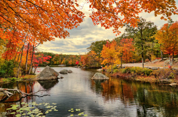 Картинка природа реки озера простор