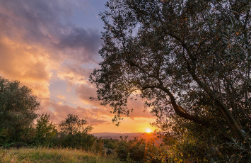 Картинка природа восходы закаты простор