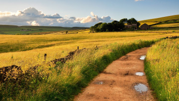 Картинка природа дороги поля дорога