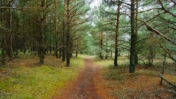 Картинка природа дороги простор