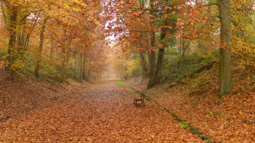 Картинка природа дороги простор