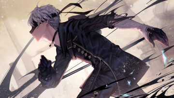 Картинка видео+игры nier +automata automata