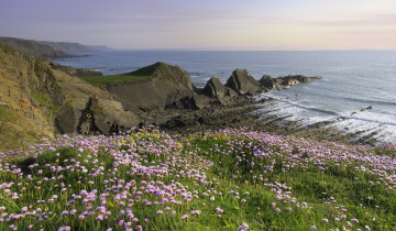 Картинка природа побережье простор